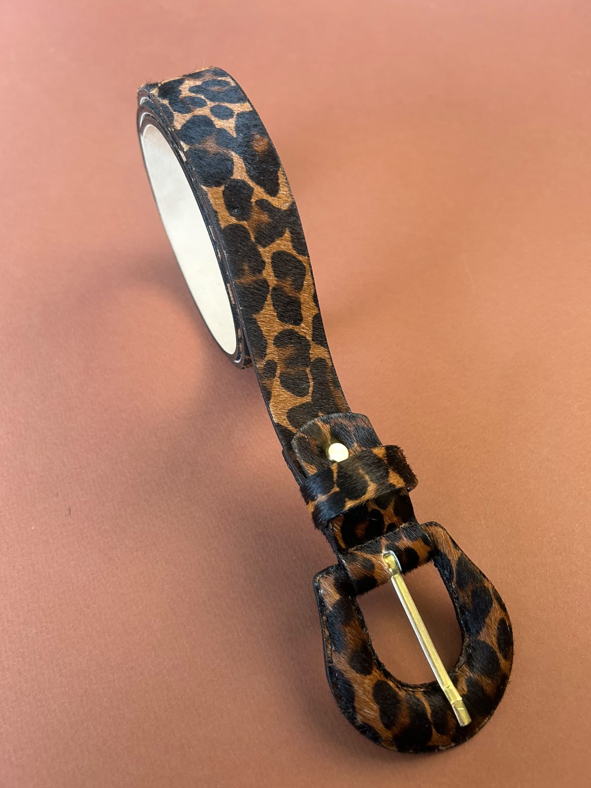Correa Leopardo
